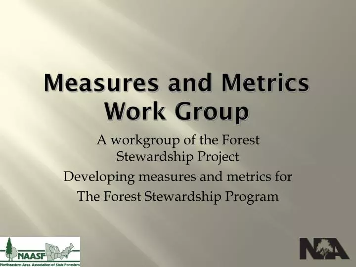 measures and metrics work group