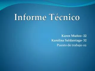 informe t cnico