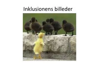 inklusionens billeder