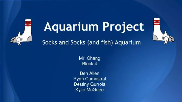 aquarium project