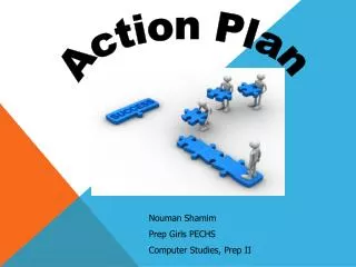 Action Plan