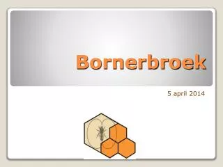 bornerbroek