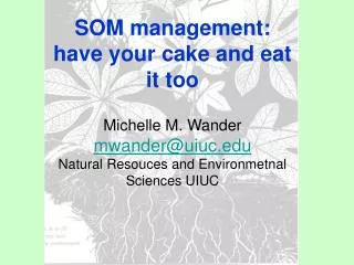 SOM management: have your cake and eat it too Michelle M. Wander mwander@uiuc