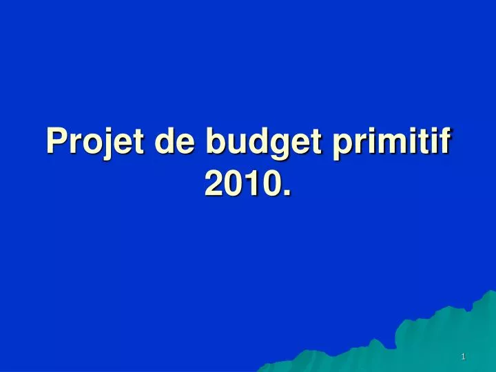 projet de budget primitif 2010