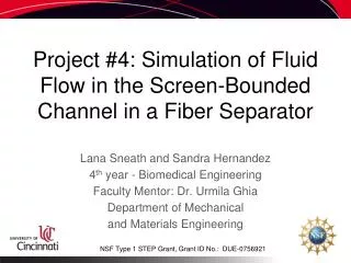 Project #4: Simulation of Fluid Flow in the Screen-Bounded Channel in a Fiber Separator