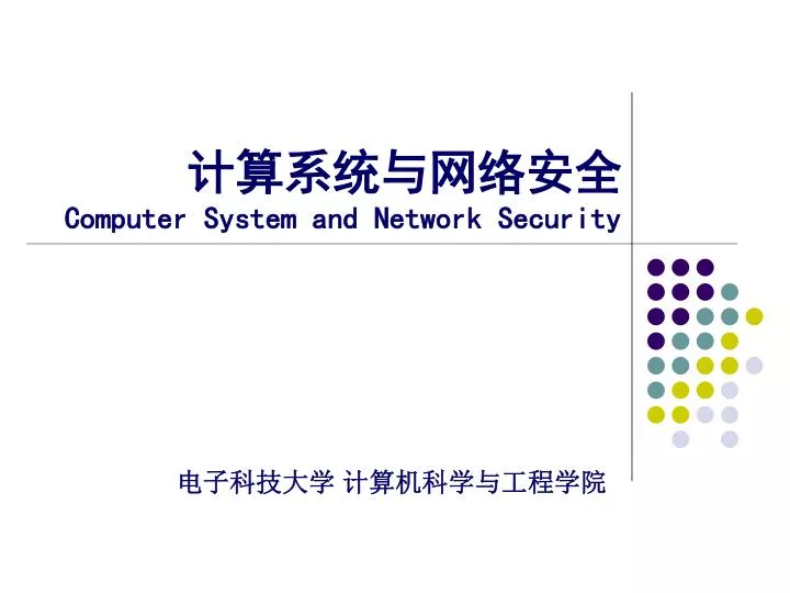 computer system and network security