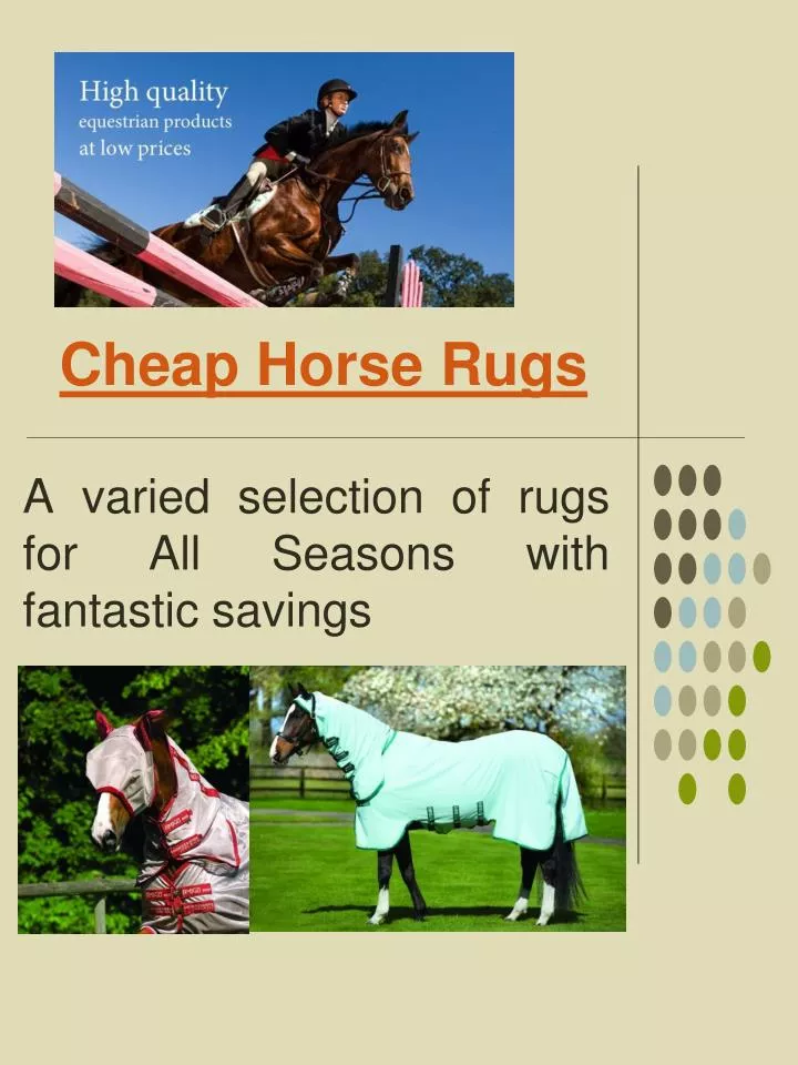 cheap horse rugs