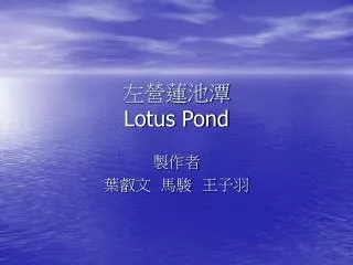lotus pond