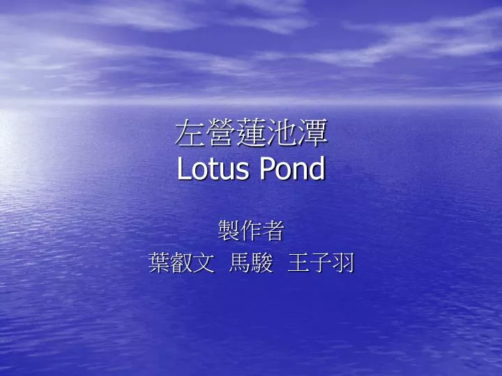 lotus pond