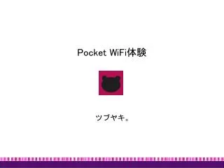 Pocket WiFi 体験