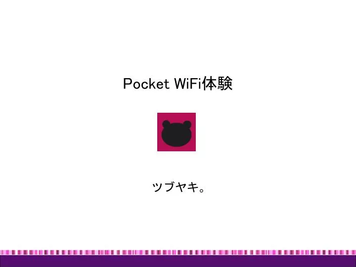 pocket wifi