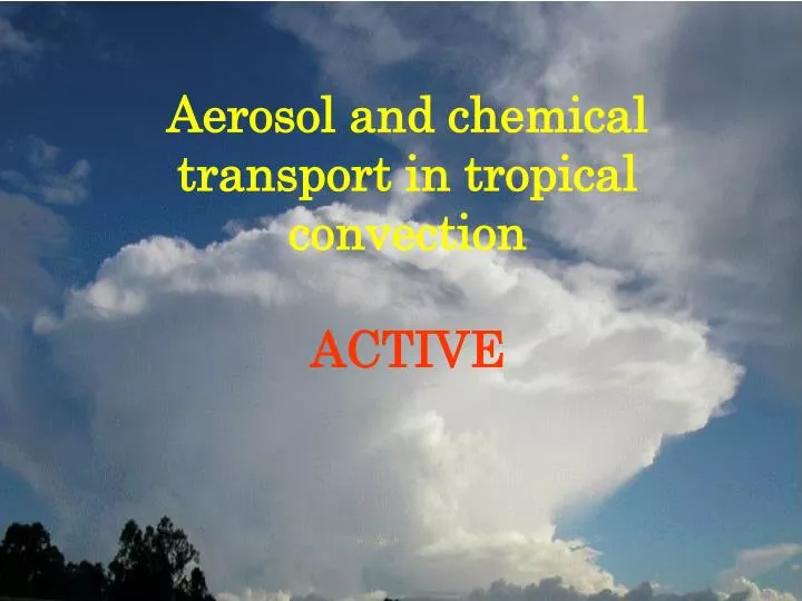 aerosol and chemical transport in tropical convection active