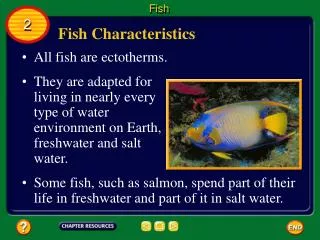 Fish Characteristics