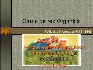 carne de res org nica
