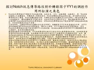 notch yy1