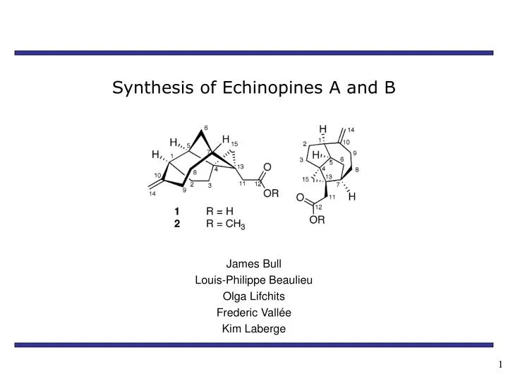 synthesis of echinopines a and b