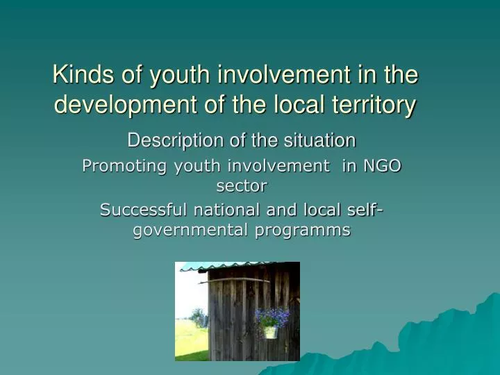 kinds of youth involvement in the development of the local territory