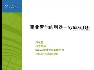 sybase iq