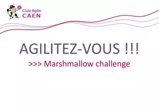 agilitez vous marshmallow challenge