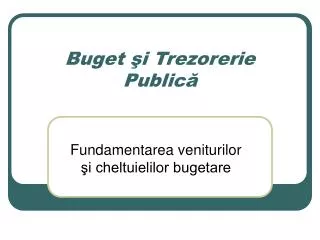 buget i trezorerie public