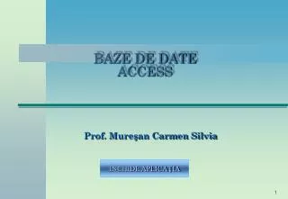 ba ze de date access
