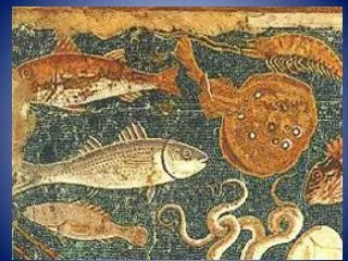 Something Fishy this Way Comes: The How and Why of Garum
