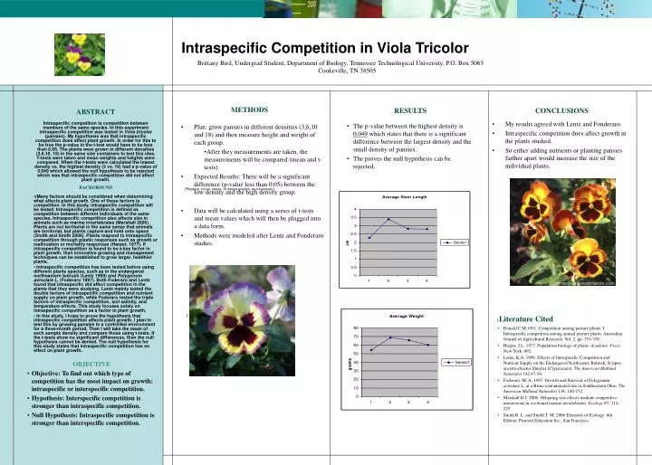 intraspecific competition in viola tricolor