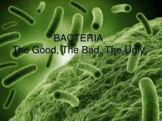 BACTERIA The Good, The Bad, The Ugly