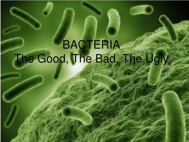 bacteria the good the bad the ugly