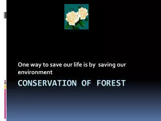 Conservation of forest