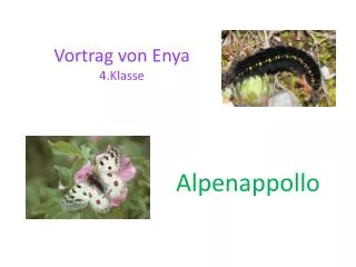 vortrag von enya 4 klasse