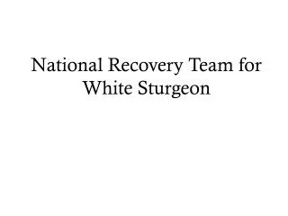 National Recovery Team for White Sturgeon