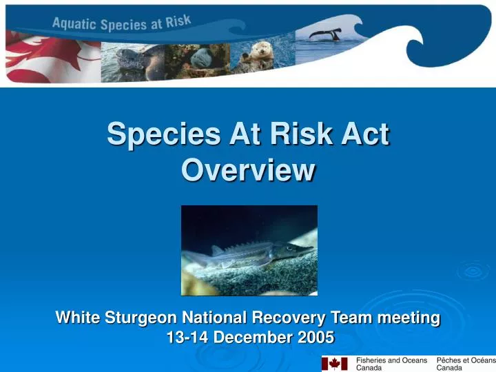 species at risk act overview