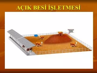 a ik bes letmes