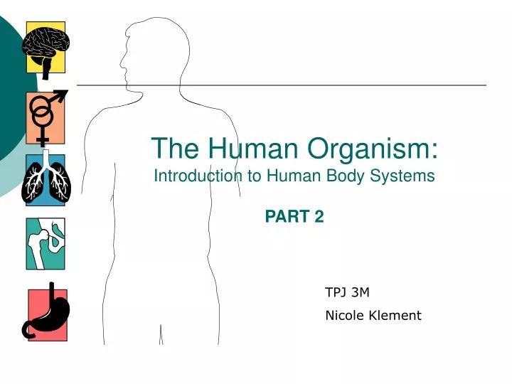 the human organism introduction to human body systems part 2