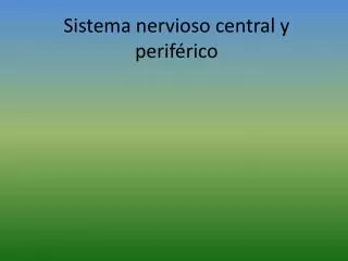 sistema nervioso central y perif rico