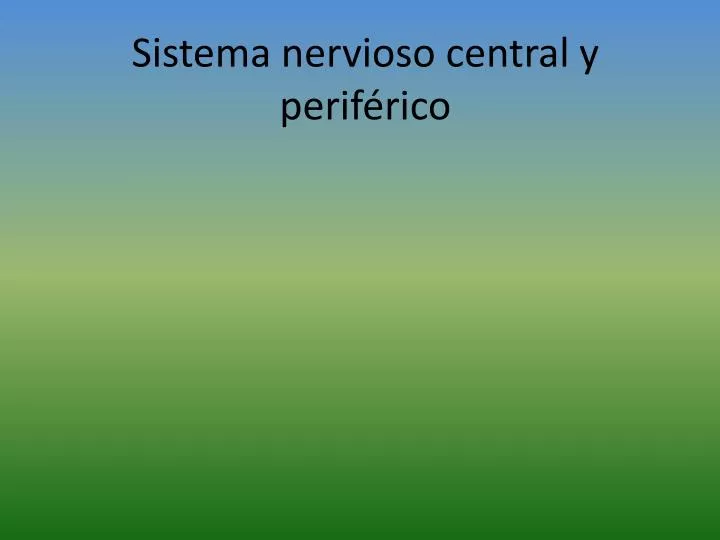 sistema nervioso central y perif rico