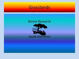 Grasslands