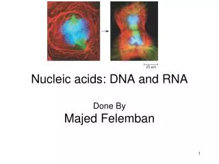Nucleic acids: DNA and RNA Done By Majed Felemban