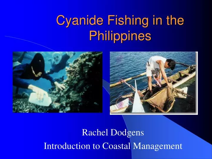 cyanide fishing in the philippines