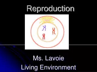 Reproduction