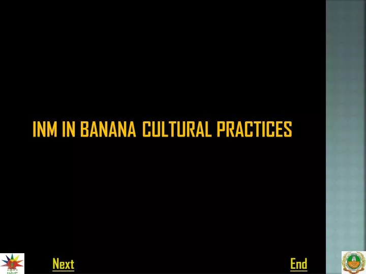 inm in banana cultural practices