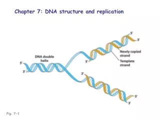 Fig. 7-1