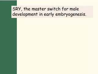 SRY, the master switch for male development in early embryogenesis.