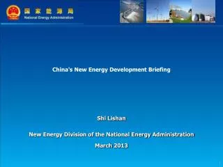 China's New Energy Development Briefing