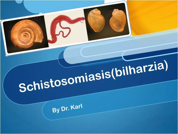 schistosomiasis bilharzia
