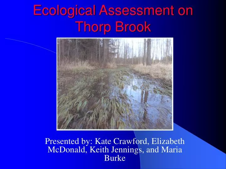 ecological assessment on thorp brook
