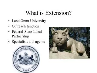 What is Extension?