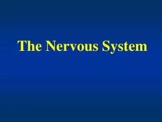 the nervous system