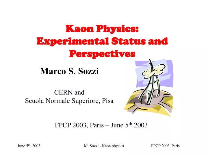 kaon physics experimental status and perspectives